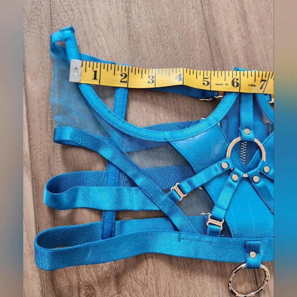 Honey Birdette Mistress T blue 34D Corset Only NWT - Picture 11 of 13